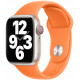 Ремінець Apple Watch 41mm Bright Orange Sport Band